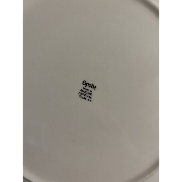 Set Of 2 Spode Festival Turkey 10” Shallow Serving Bowls Pasta Bowls - Picture 8 of 9